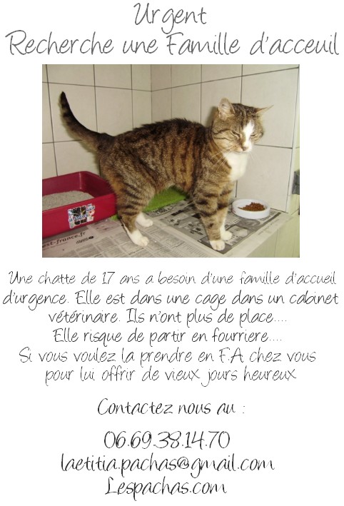Urgence Adoption ou FA Gribouille-affiche-114c62b