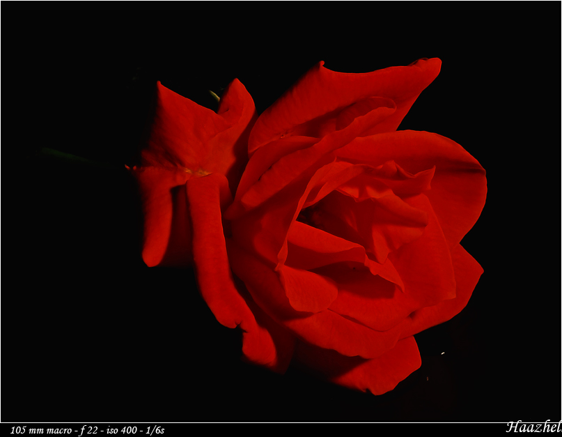 Image externe