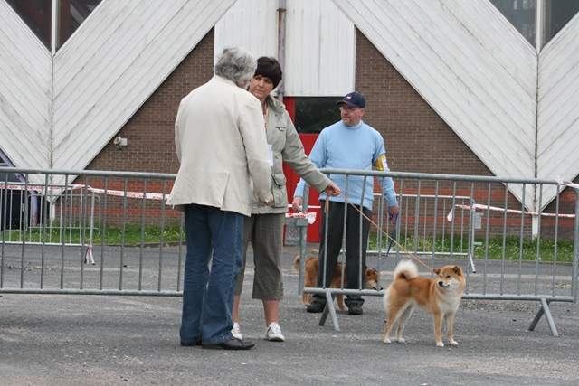 Image: amiens13-e44ac9.jpg