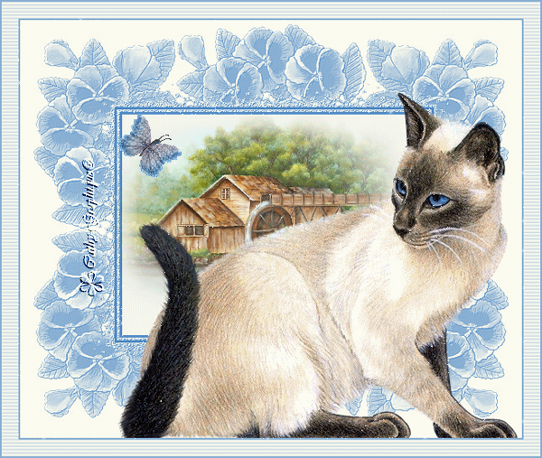 Image: animation-chat-1581c2c.gif