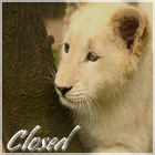Ce forum est verrouill�, vous ne pouvez pas poster, ni r�pondre, ni �diter les sujets.