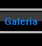 Galería
