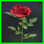 http://img42.xooimage.com/files/5/7/8/lai-10a19e5.gif