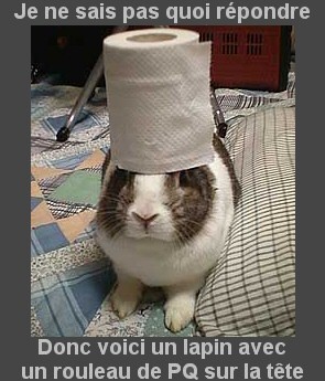 Image utilisateur