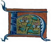 Image: n-142d0b9.jpg