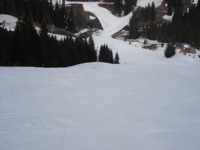 Moineau / Megève Jaillet Dsc03896-8c952f