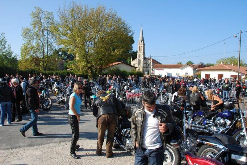 merci au forum /sportster.leforum.eu
