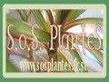 Jouy sous Thelle un petit village de France