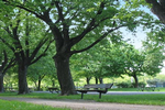 http://img42.xooimage.com/files/9/3/b/parc-d-un-forum-118b015.png