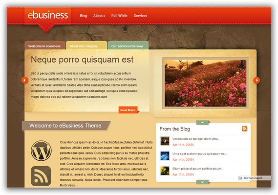 Ebusiness - ElegantThemes Premium WordPress Theme