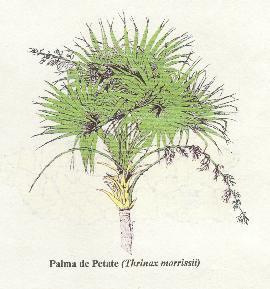 artesanía artesanía
