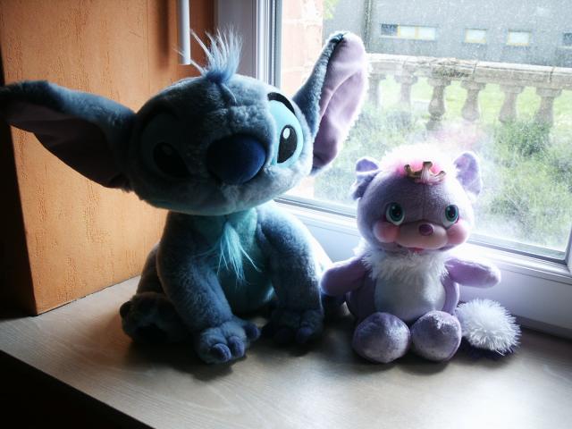 Image: brocant-popple-stich-e1f838.jpg