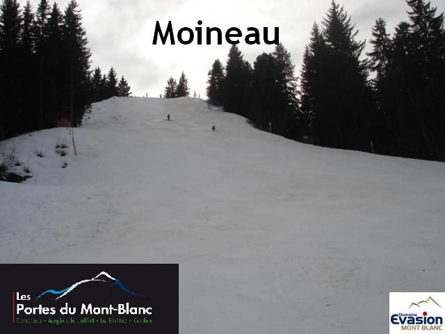 Moineau / Megève Jaillet Moineau-8c933b