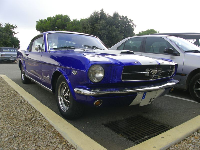 http://img42.xooimage.com/files/e/1/f/pb010007-p--14e7aa6.jpg