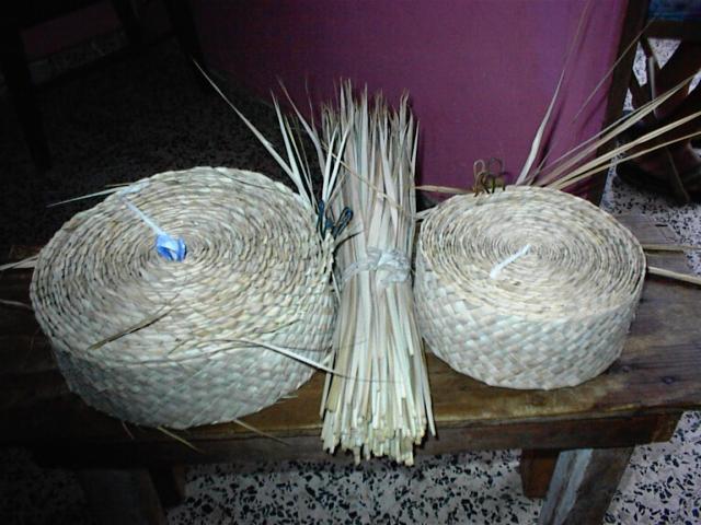 pallma pallma